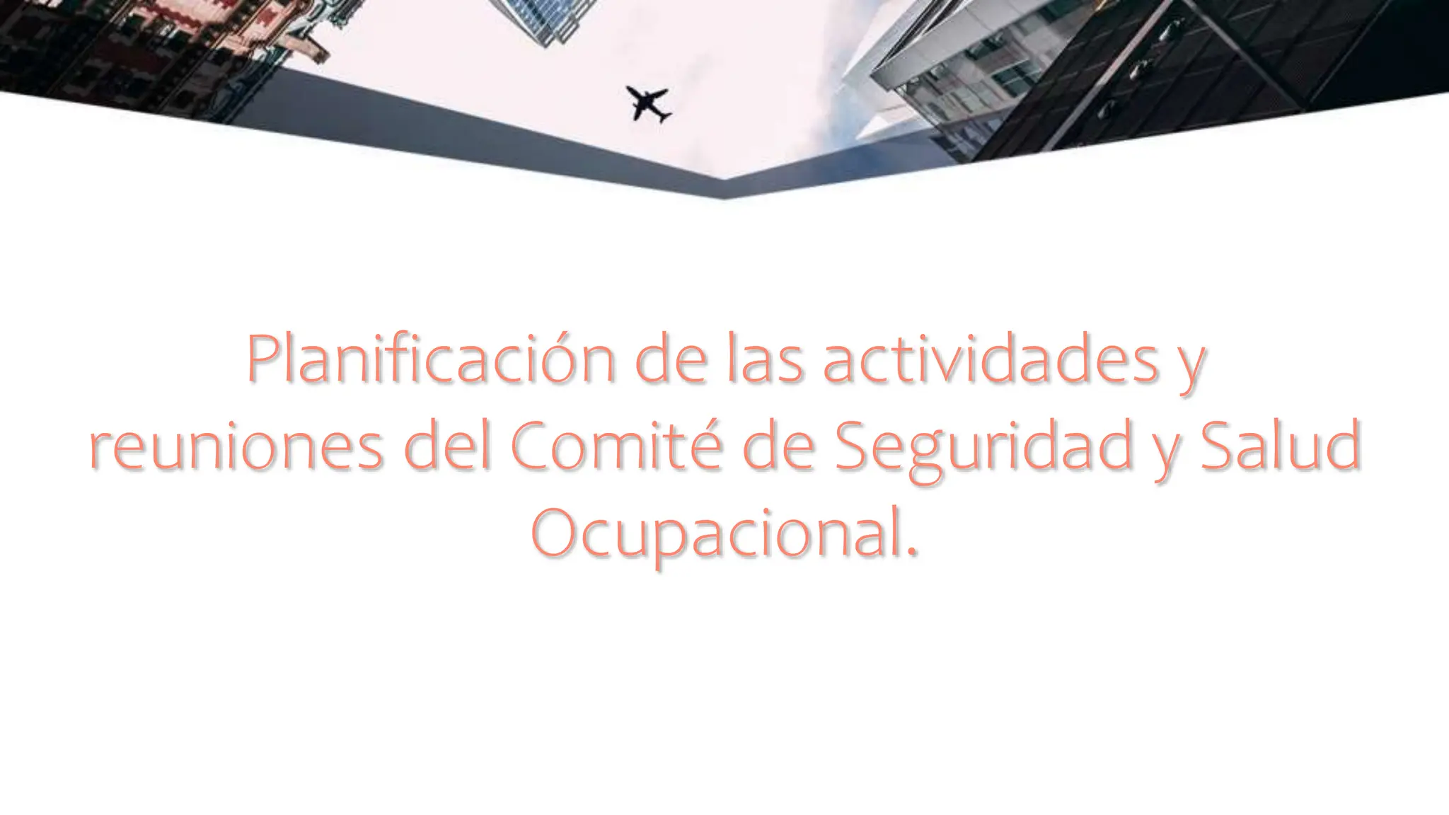 Planificación de las actividades y
reuniones del Comité de Seguridad y Salud
Ocupacional.
 