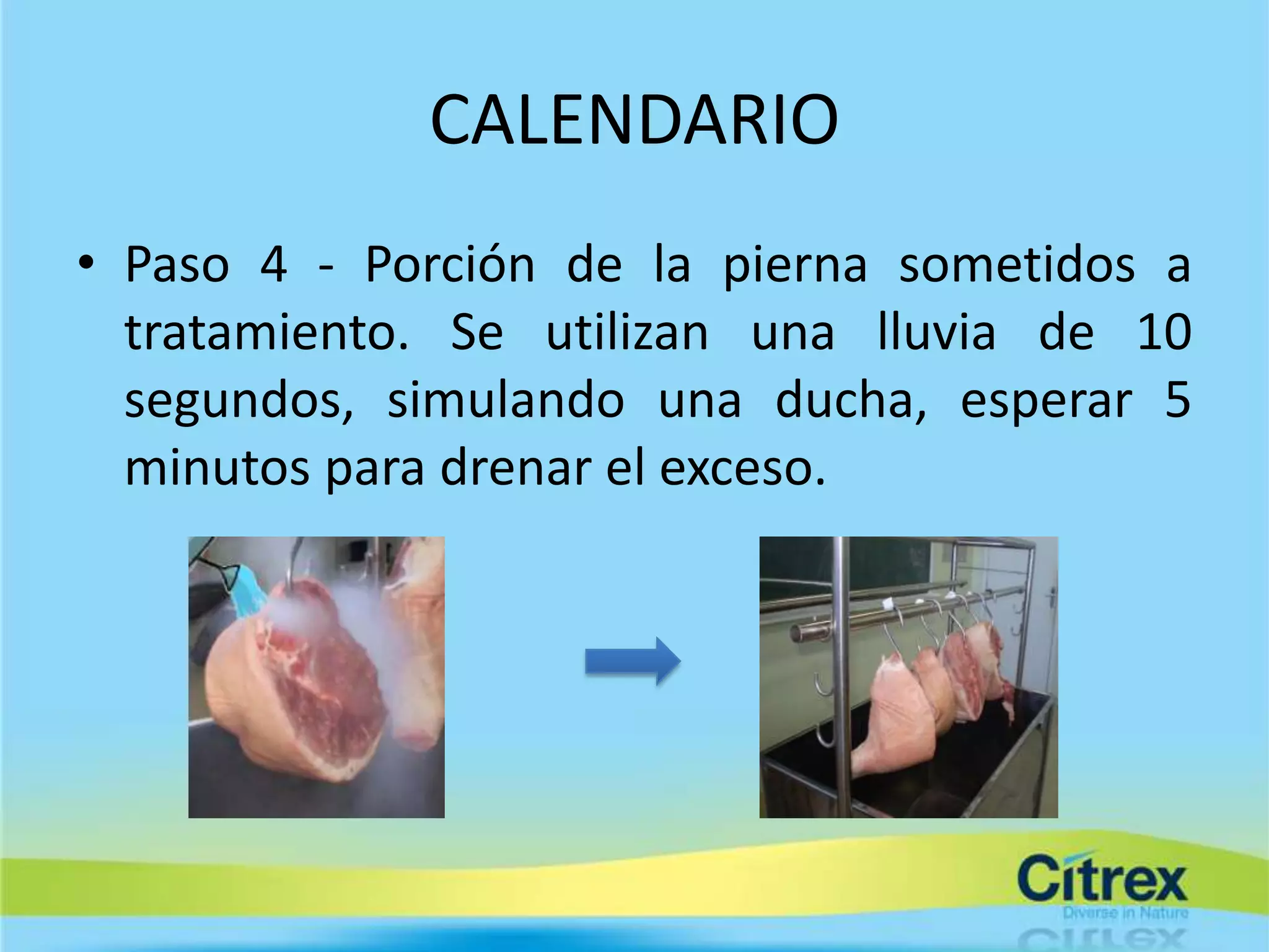 CALENDARIO
• Paso 4 - Porción de la pierna sometidos a
  tratamiento. Se utilizan una lluvia de 10
  segundos, simulando una ducha, esperar 5
  minutos para drenar el exceso.
 
