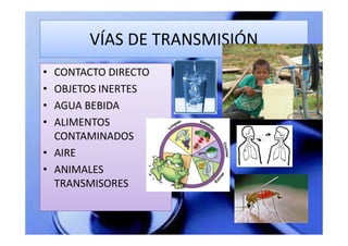 VÍAS DE TRANSMISIÓN
• CONTACTO DIRECTO
• OBJETOS INERTES
• AGUA BEBIDA
• ALIMENTOS
  CONTAMINADOS
• AIRE
• ANIMALES
  TRANSMISORES
 