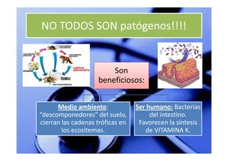 NO TODOS SON patógenos!!!!


                        Son
                    beneficiosos:


      Medio ambiente
              ambiente:           Ser humano: Bacterias
“descomponedores” del suelo,           del intestino.
cierran las cadenas tróficas en    Favorecen la síntesis
        los ecositemas.              de VITAMINA K.
 