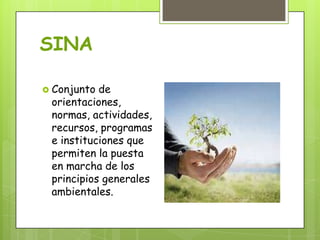 SINA
 Conjunto de
orientaciones,
normas, actividades,
recursos, programas
e instituciones que
permiten la puesta
en marcha de los
principios generales
ambientales.
 