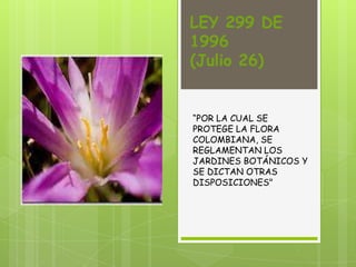 LEY 299 DE
1996
(Julio 26)
“POR LA CUAL SE
PROTEGE LA FLORA
COLOMBIANA, SE
REGLAMENTAN LOS
JARDINES BOTÁNICOS Y
SE DICTAN OTRAS
DISPOSICIONES"
 