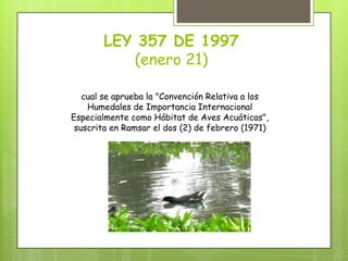 LEY 357 DE 1997
(enero 21)
cual se aprueba la "Convención Relativa a los
Humedales de Importancia Internacional
Especialmente como Hábitat de Aves Acuáticas",
suscrita en Ramsar el dos (2) de febrero (1971)
 