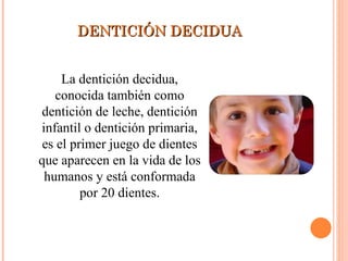 DENTICIÓN DECIDUA La dentición decidua, conocida también como dentición de leche, dentición infantil o dentición primaria, es el primer juego de dientes que aparecen en la vida de los humanos y está conformada por 20 dientes. 