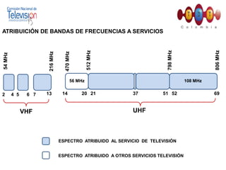 Estudio Socio Económico