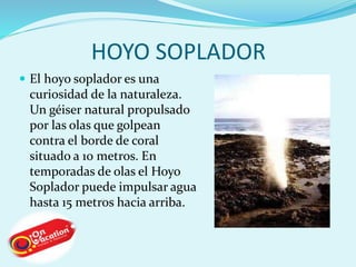 HOYO SOPLADOR 
 El hoyo soplador es una 
curiosidad de la naturaleza. 
Un géiser natural propulsado 
por las olas que golpean 
contra el borde de coral 
situado a 10 metros. En 
temporadas de olas el Hoyo 
Soplador puede impulsar agua 
hasta 15 metros hacia arriba. 
 