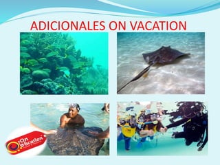 ADICIONALES ON VACATION 
 