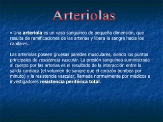 Arteriolas Una  arteriola  es un vaso sanguíneo de pequeña dimensión, que resulta de ramificaciones de las arterias y libera la sangre hacia los capilares. Las arteriolas poseen gruesas paredes musculares, siendo los puntos principales de  resistencia vascular . La presión sanguínea suministrada al cuerpo por las arterias es el resultado de la interacción entre la salida cardiaca (el volumen de sangre que el corazón bombea por minuto) y la resistencia vascular, llamada normalmente por médicos e investigadores  resistencia periférica total . 