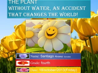 THE PLANT
without water, an accident
that changes the world!

Name: Santiago Alvarez Gonzalez

Grade: fourth

Date: 18/october/2013(Friday)

 