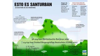 Ubicado en la
cordillera Oriental,
entre los
departamentos de
Santander
(37,95%) y Norte
de Santander
(62,1%), en
jurisdic...
