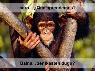 Baina... zer ikasten dugu?
pero... ¿Qué aprendemos?
 