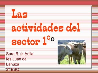 Las actividades del sector 1º º Sara Ruiz Arilla Ies Juan de Lanuza 3º ESO  