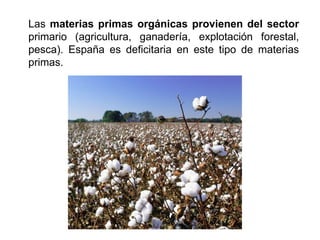 Las materias primas orgánicas provienen del sector
primario (agricultura, ganadería, explotación forestal,
pesca). España es deficitaria en este tipo de materias
primas.
 