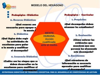 MODELO DEL HEXÁGONO  Pedagógico -Didáctico   Pedagógico -  Curricular 1. Propósitos ¿Qué desempeños deben alcanzar los estudiantes? 6. Recursos Didácticos ¿Qué recursos son necesarios para apoyar a la mente ? 2. Evaluación   ¿Cómo valorar las evidencias que muestran que una persona ha alcanzado este desempeño?  3. Enseñanzas ¿Qué estructuras de información es necesario aprender para cualificar el desempeño? 5. Didáctica ¿Qué lógica debe regir las actividades de enseñanza para guiar a la mente y cualificar  el desempeño? 4. Secuencia Didáctica ¿Cuáles son las etapas que se deben desarrollar en la enseñanza para cualificar el desempeño? MENTE HUMANA. Acción cualificada  ante el medio. 