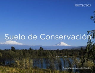 PROYECTOS




L+84.*-8*A.,B86:'()D,


              Zona chinampera, Xochimilco
 