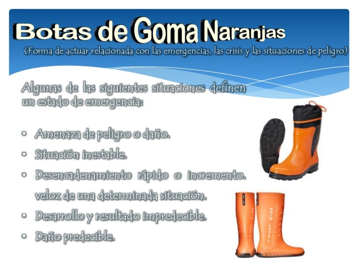 Presentacion seis pares de zapatos para la accion