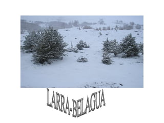 LARRA-BELAGUA