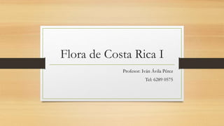 Flora de Costa Rica I
Profesor: Iván Ávila Pérez
Tel: 6289 0575
 