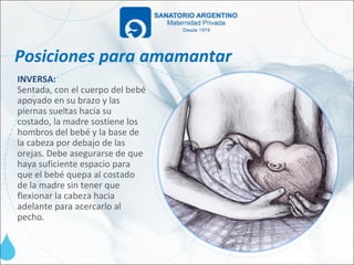 Posiciones para amamantar
INVERSA:
Sentada, con el cuerpo del bebé
apoyado en su brazo y las
piernas sueltas hacia su
costado, la madre sostiene los
hombros del bebé y la base de
la cabeza por debajo de las
orejas. Debe asegurarse de que
haya suficiente espacio para
que el bebé quepa al costado
de la madre sin tener que
flexionar la cabeza hacia
adelante para acercarlo al
pecho.
 