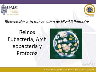 29/04/2013 1Educando con pertinencia, trascendiendo con relevancia
Reinos
Eubacteria, Arch
eobacteria y
Protozoa
Bienvenidos a tu nuevo curso de Nivel 3 llamado:
 