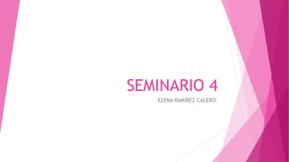 SEMINARIO 4
ELENA RAMÍREZ CALERO.
 