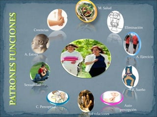 M. Salud
Eliminación
A. Ejercicio
R. Sueño
Auto
percepción
Rol relaciones
C. Perceptual
Sexualidad
A. Estrés
Creencias
 
