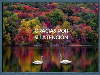 GRACIAS POR
SU ATENCIÓN
 