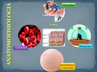 Inmunidad
Protección
 