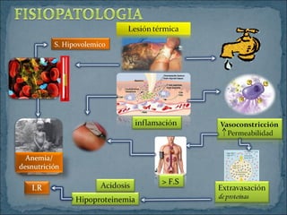 > F.S
Hipoproteinemia
S. Hipovolemico
 