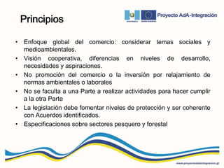 Principios
• Enfoque global del comercio: considerar temas sociales y
medioambientales.
• Visión cooperativa, diferencias en niveles de desarrollo,
necesidades y aspiraciones.
• No promoción del comercio o la inversión por relajamiento de
normas ambientales o laborales
• No se faculta a una Parte a realizar actividades para hacer cumplir
a la otra Parte
• La legislación debe fomentar niveles de protección y ser coherente
con Acuerdos identificados.
• Especificaciones sobre sectores pesquero y forestal
 
