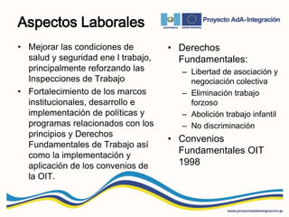 Aspectos Laborales
• Derechos
Fundamentales:
– Libertad de asociación y
negociación colectiva
– Eliminación trabajo
forzoso
– Abolición trabajo infantil
– No discriminación
• Convenios
Fundamentales OIT
1998
• Mejorar las condiciones de
salud y seguridad ene l trabajo,
principalmente reforzando las
Inspecciones de Trabajo
• Fortalecimiento de los marcos
institucionales, desarrollo e
implementación de políticas y
programas relacionados con los
principios y Derechos
Fundamentales de Trabajo así
como la implementación y
aplicación de los convenios de
la OIT.
 