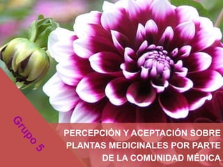 PERCEPCIÓN Y ACEPTACIÓN SOBRE
PLANTAS MEDICINALES POR PARTE
      DE LA COMUNIDAD MÉDICA
 