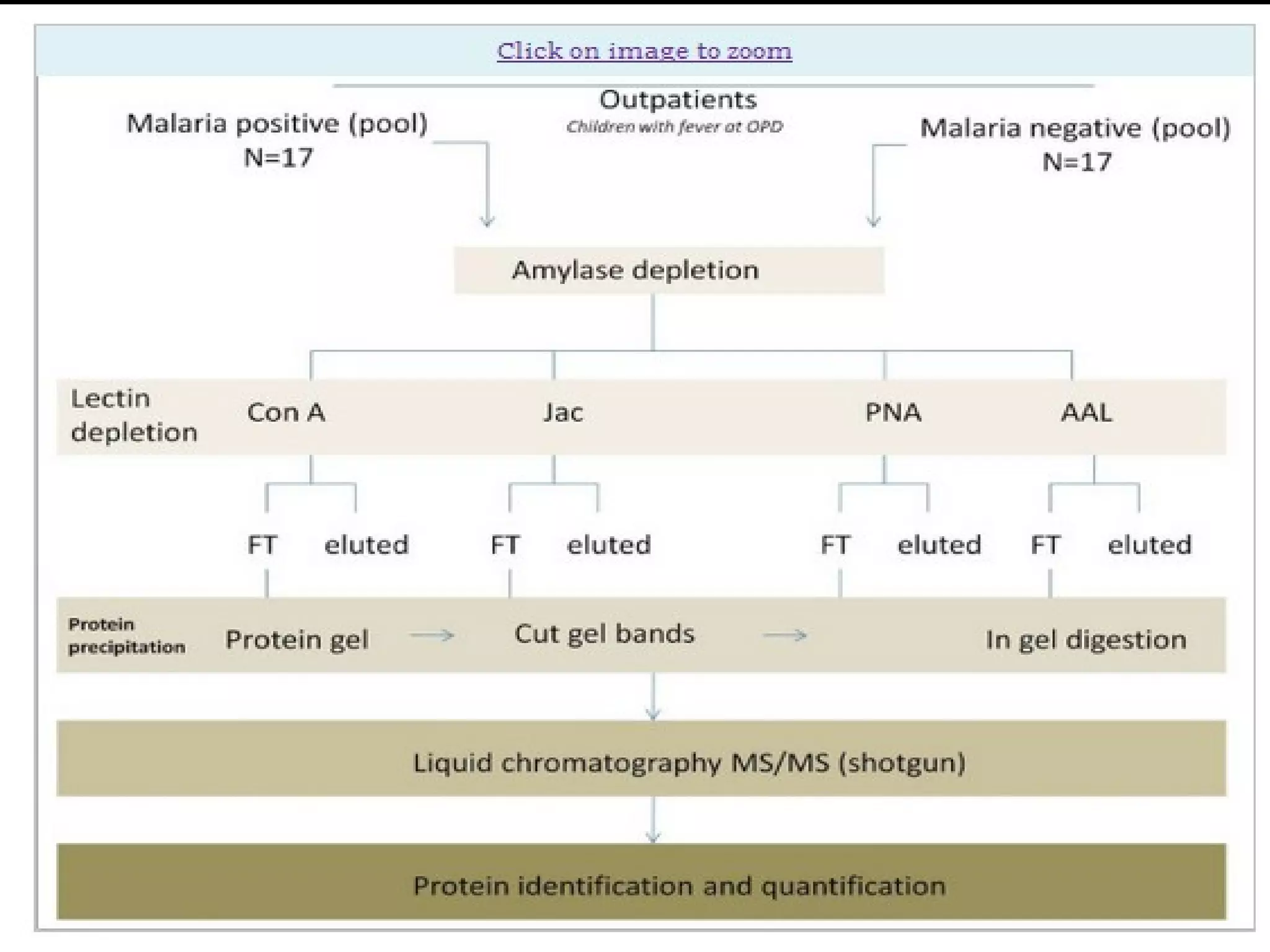 Proteomic identification of host and parasite biomarkers in saliva from ...
