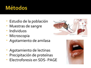 Proteomic identification of host and parasite biomarkers in saliva from ...