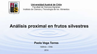 Análisis proximal en frutos silvestres 
Paola Vega Torres 
Valdivia – Chile 
2014 
 