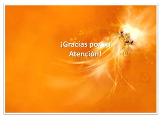¡Gracias por su
  Atención!
 