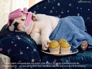 Somos vagos, nos gusta que nos lo den todo echo y no vamos a poner mucho de
nuestra parte … así que ponlo MUY fácil, llamativo, sácame una sonrisa y te lo comporo
 