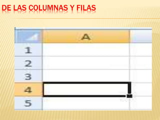 DE LAS COLUMNAS Y FILAS 
 