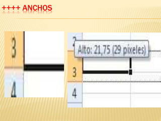 ++++ ANCHOS 
 