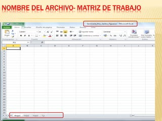 NOMBRE DEL ARCHIVO- MATRIZ DE TRABAJO 
 