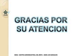 GRACIAS POR SU ATENCION SENA - CENTRO AGROINDUSTRIAL DEL META – SEDE LOS NARANJOS