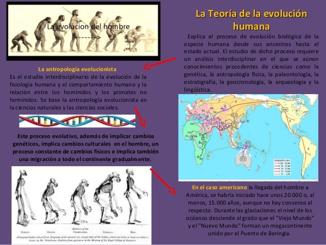 Teoria antropologica del consumidor_teoria_online