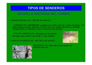 TIPOS DE SENDEROS
        SEGÚN LA ANCHURA DEL CAMINO

CAMINOS DE MÁS DE 1 METRO DE ANCHO:

  * CAMINOS DE CABAÑEROS: aquellos que miden más de 1 metro de ancho. Por
  ellos pueden circular vehículos a motor así como varias personas en paralelo.
  Antiguamente se utilizaban para el transporte del ganado.

  * PISTAS FORESTALES: utilizadas por las gentes
  del lugar para acudir a las fincas o a los refugios.

CAMINOS DE MENOS DE 1 METROS DE ANCHO:

                          SENDEROS: Por ellos sólo puede pasar una
                          persona tras otra.
 