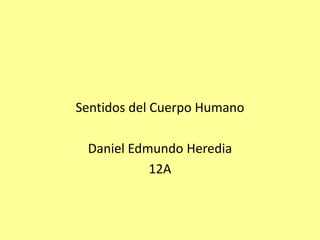 Sentidos del Cuerpo Humano Daniel Edmundo Heredia 12A 