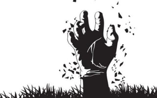 …entonces, ¿finalmente paso?

 