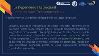 La Dependencia Estructural
Campesinistas/Descampesinistas
Hobsbawm (1994), contempló la desaparición del sector campesino,
Chayanov plantea la imposibilidad de aplicar conceptos generales de la
Economía Política clásica, basados sobre el modo de producción capitalista, a
la agricultura campesina (Kerblay, 1979). En función de esto, Chayanov señala
que se hace necesario desarrollar teorías particulares para el caso de las
formas campesinas (…) planteando la noción de economía campesina, que
se sustenta en unidades económicas familiares no asalariadas, regidas por
una racionalidad económica propia de estas explotaciones agrícolas.
(Hernández, 1994, p. 179)
 