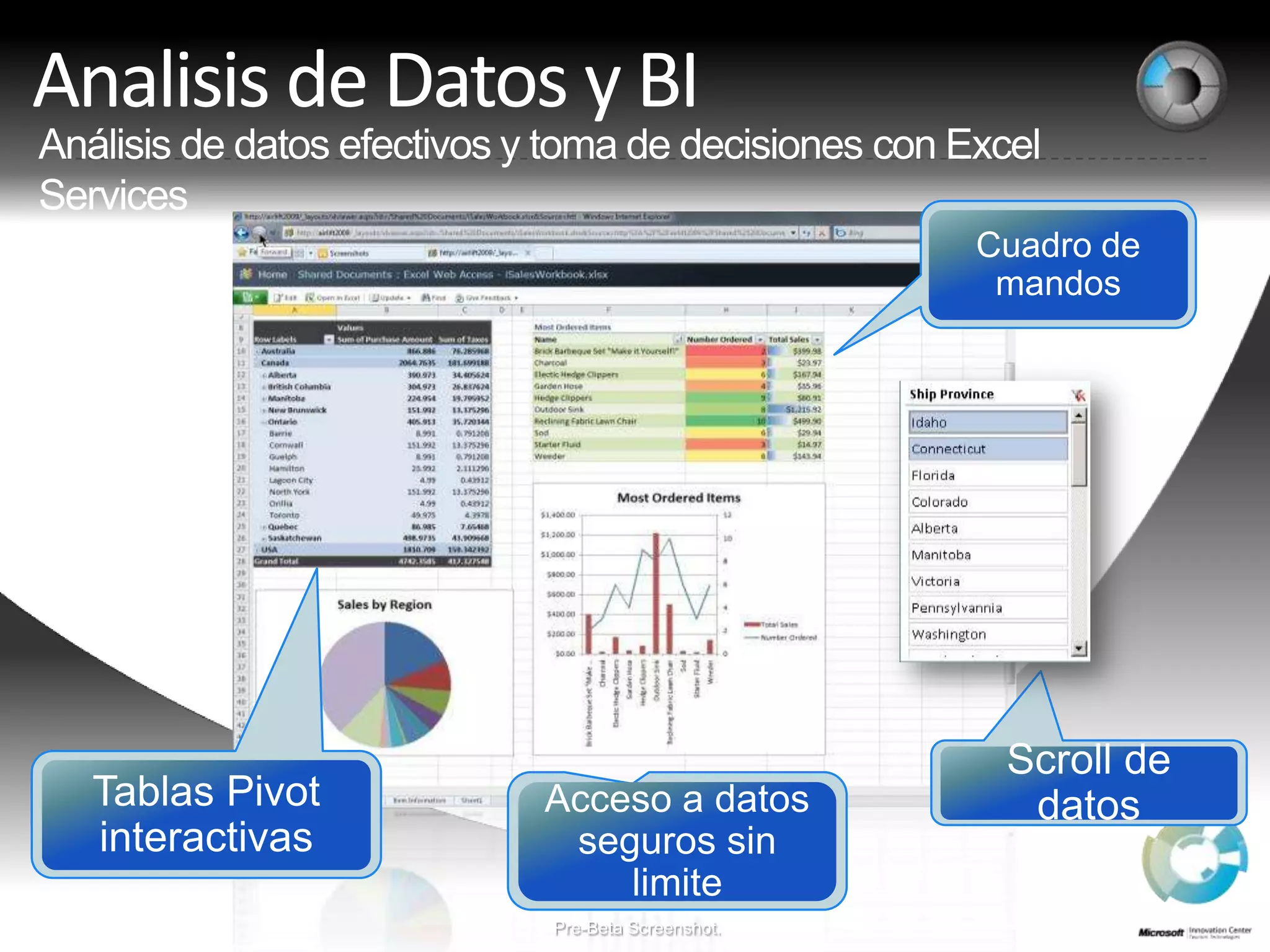 Analisis de Datos y BIAnálisis de datosefectivos y toma de decisiones con Excel ServicesAcceso a datosseguros sin limiteScroll de datosTablas Pivot interactivasCuadro de mandosPre-Beta Screenshot.
