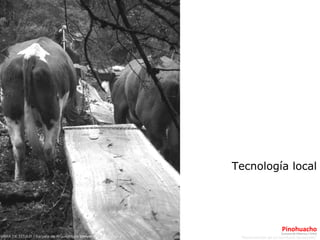 “ Reconversión de un territorio devastado” Pinohuacho OBRA DE TITULO / Escuela de Arquitectura  Universidad de Talca .  Comuna de Villarrica / CHILE Tecnología local 