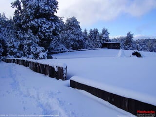 “ Reconversión de un territorio devastado” Pinohuacho OBRA DE TITULO / Escuela de Arquitectura  Universidad de Talca .  Comuna de Villarrica / CHILE 