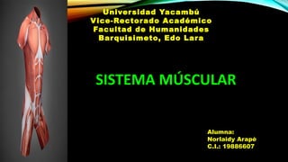 Universidad Yacambú
Vice-Rectorado Académico
Facultad de Humanidades
Barquisimeto, Edo Lara
SISTEMA MÚSCULARSISTEMA MÚSCULAR
Alumna:
Norlaidy Arapè
C.I.: 19886607
 